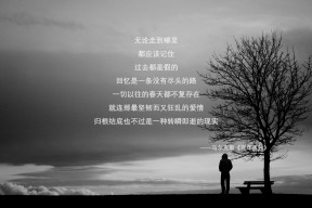 华体会体育-白鹰折翼，2026世界杯G组生死战，托纳利孤星闪耀，英格兰险中求胜