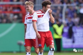 华体会下载-奥斯纳布吕克全队发威，战绩不俗提升积分的简单介绍