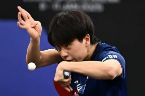 华体会登陆-德国乒乓球队翻盘比利时乒乓球队，奥恰洛夫绝境逆转的简单介绍