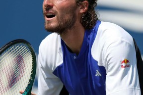 华体会-包含美网力克戴维斯杯，西西帕斯关键制胜的词条