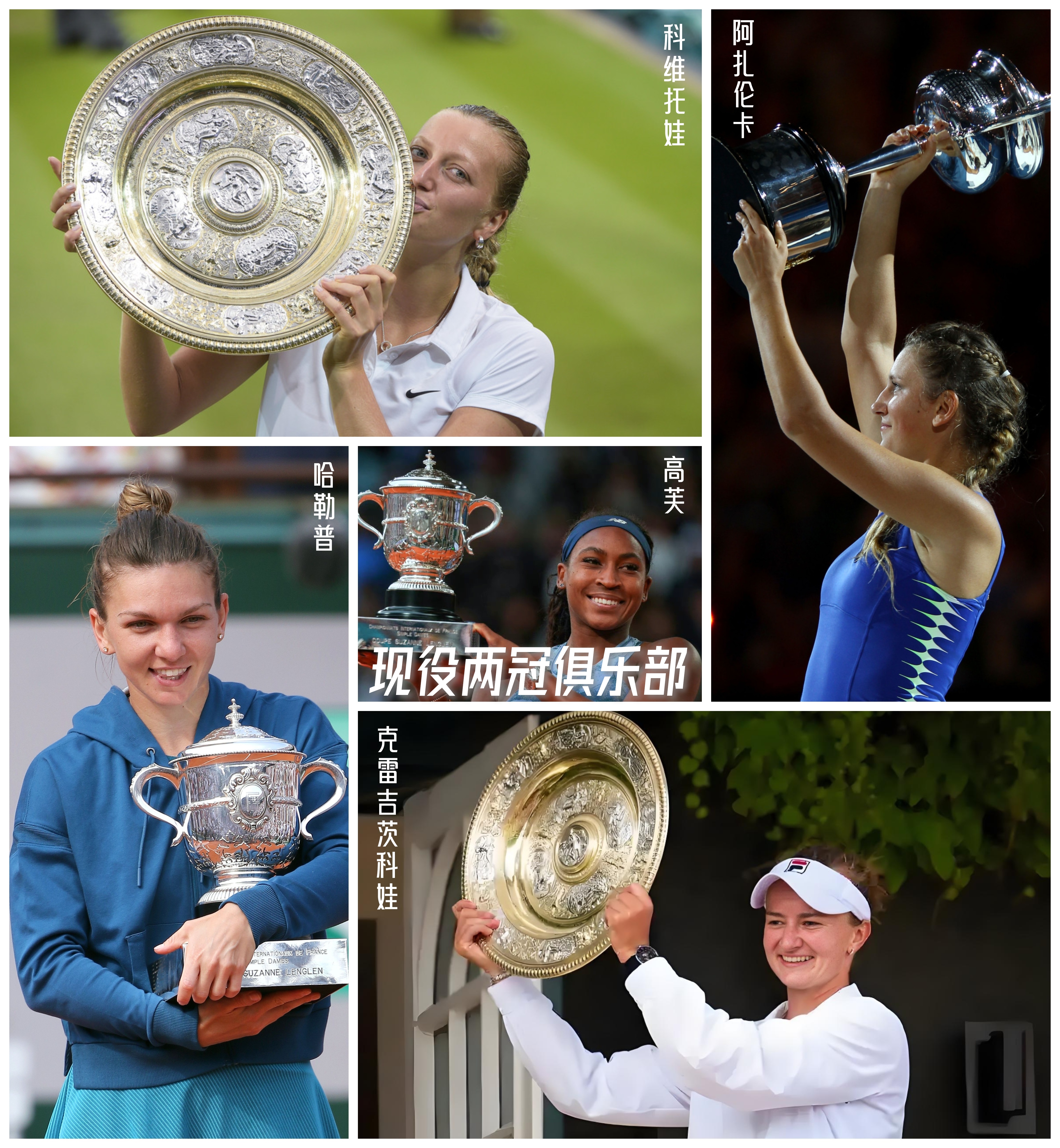 华体会hth-关于法国选手斩获铜牌，期待更多表现的信息  第1张