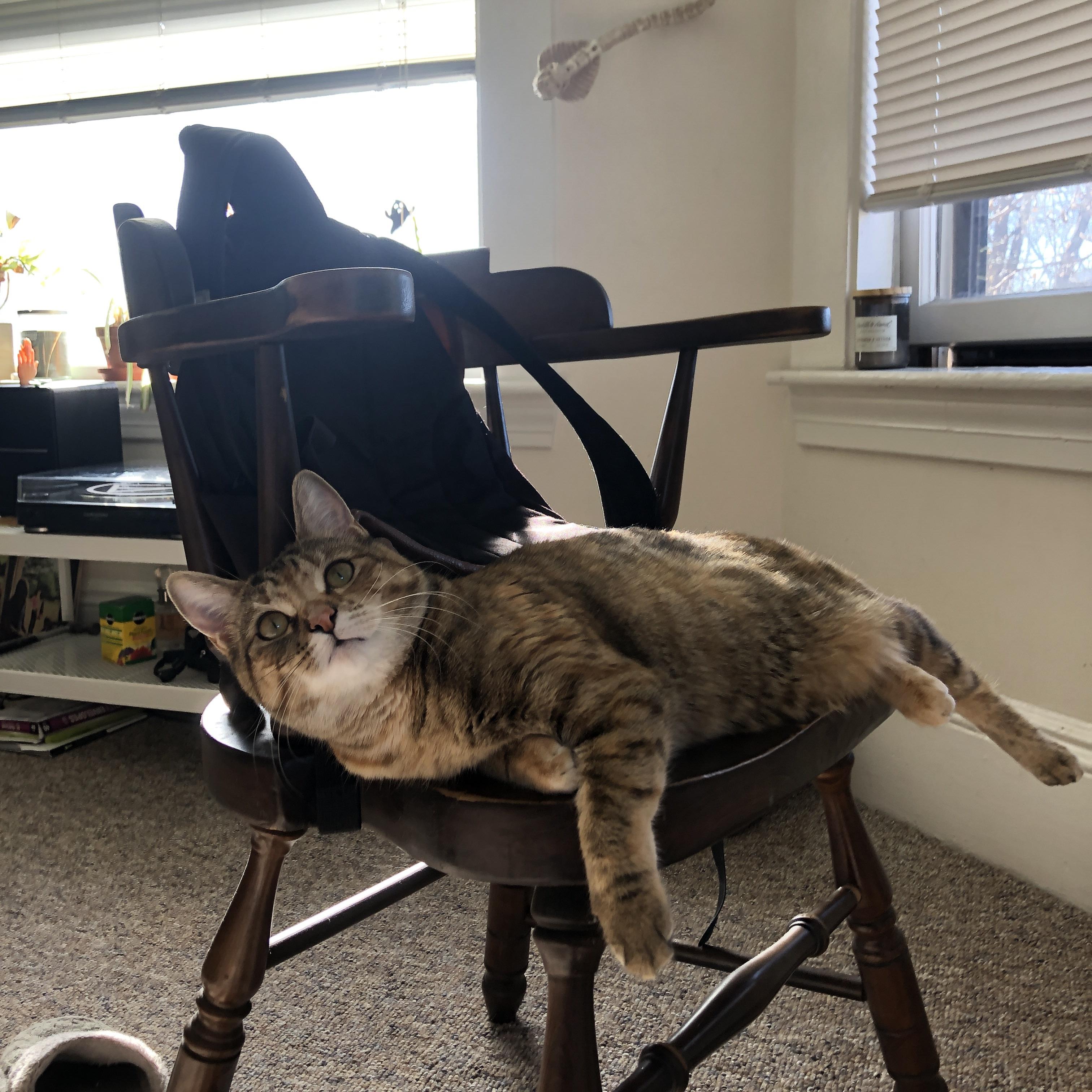 华体会登陆-元宇宙裁定冠军归属？库里空降抢七夜接管平行时空之战  第2张